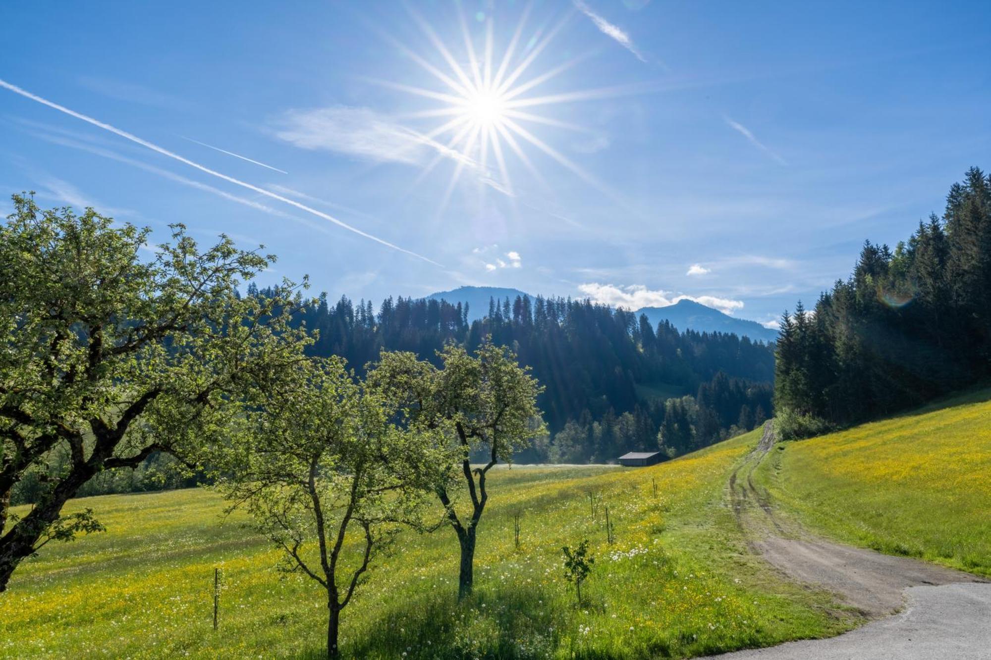 Villa Getznerhof Westendorf Esterno foto